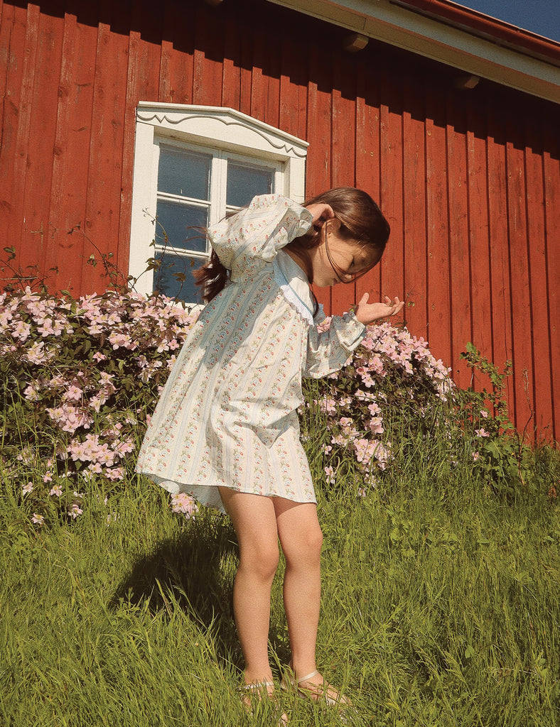 IMAGE OF ABIGAIL DRESS