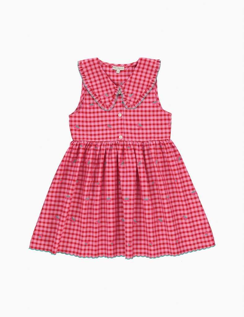 Image of Alisa Dress in Raspberry Check