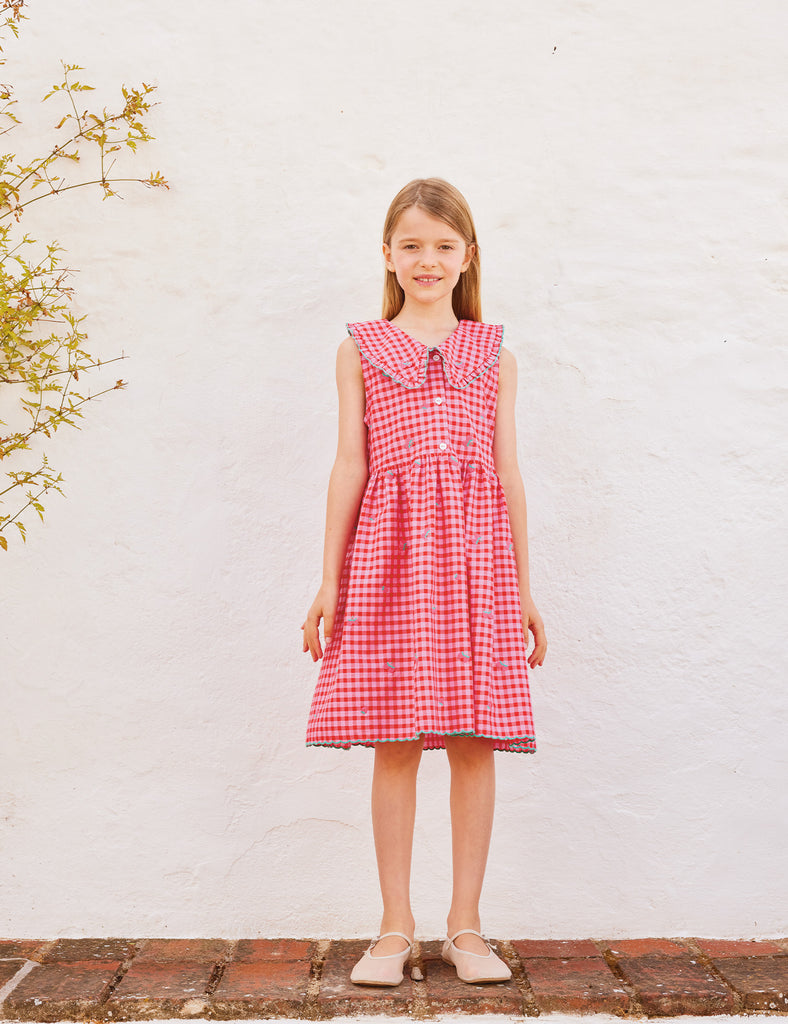 Image of Alisa Dress in Raspberry Check