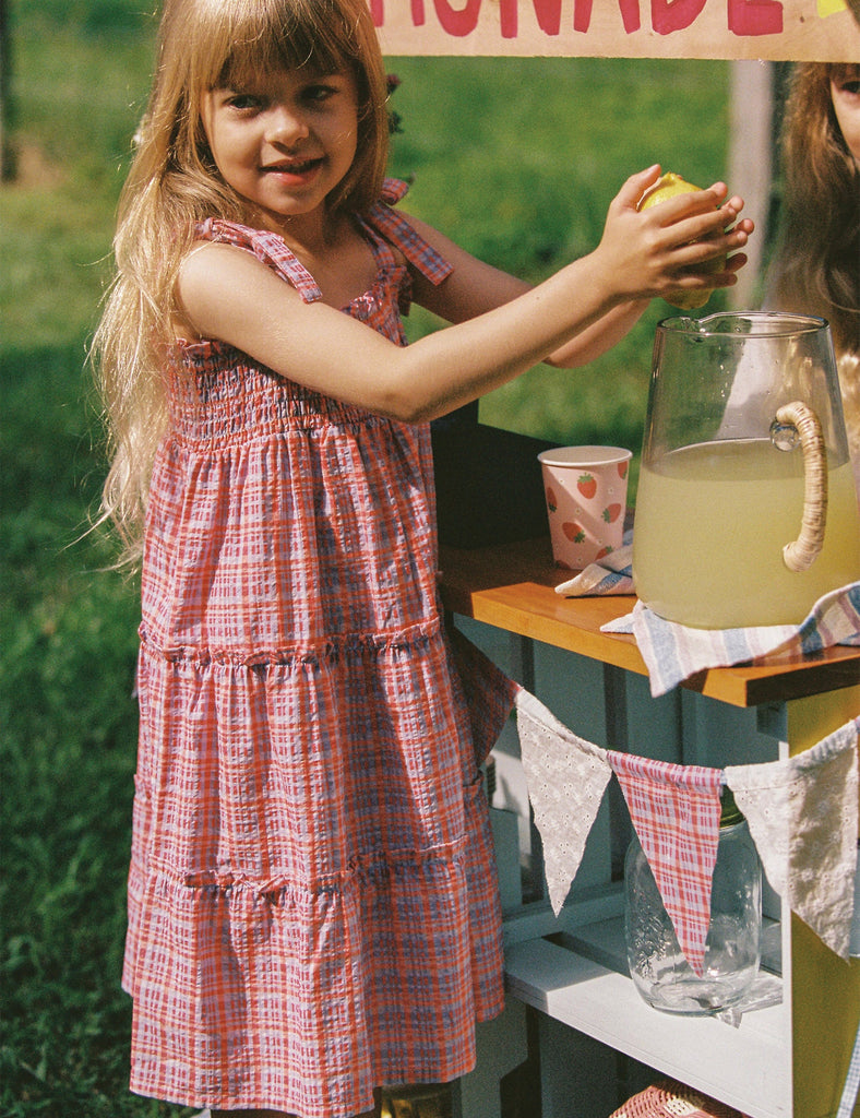 Image of Belle Dress in Picnic Check