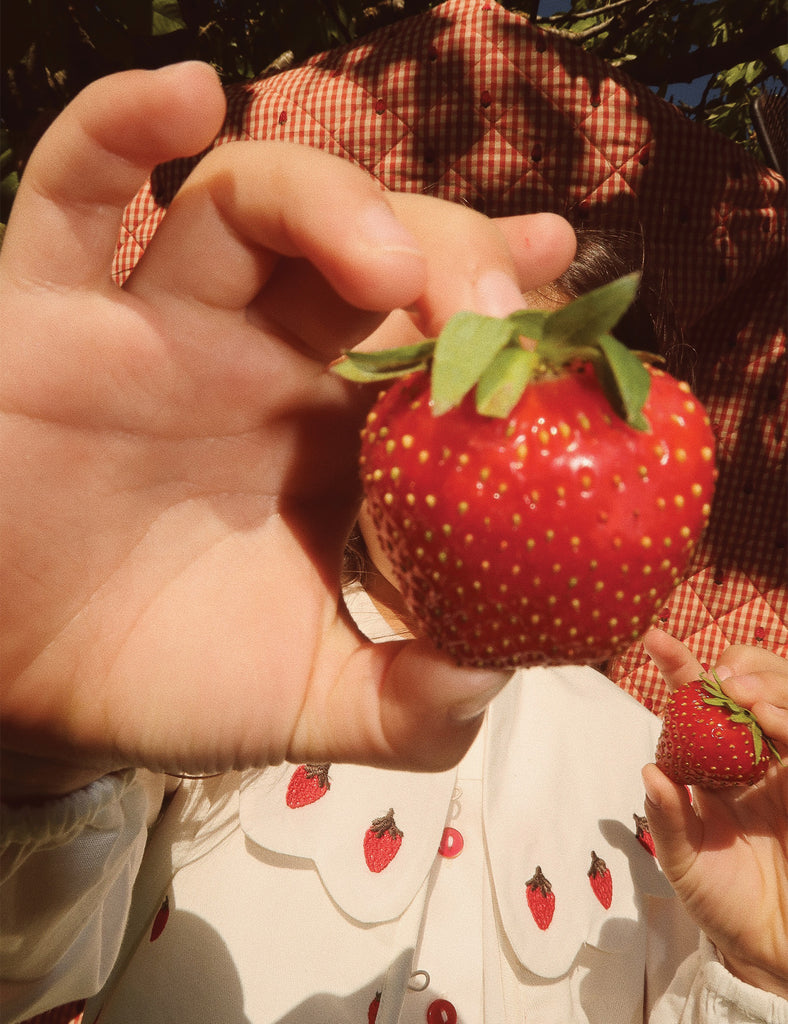 image of evelyn blouse in bright white