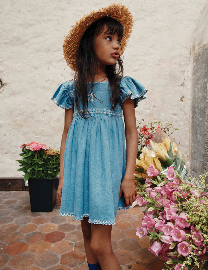 Image of Embroidered Denim Dress.