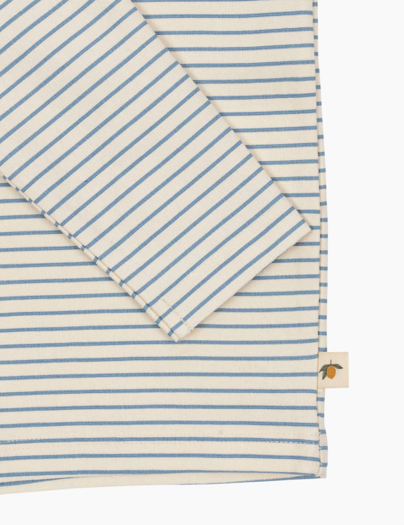 Striped fabric with blue and beige stripes on a white background