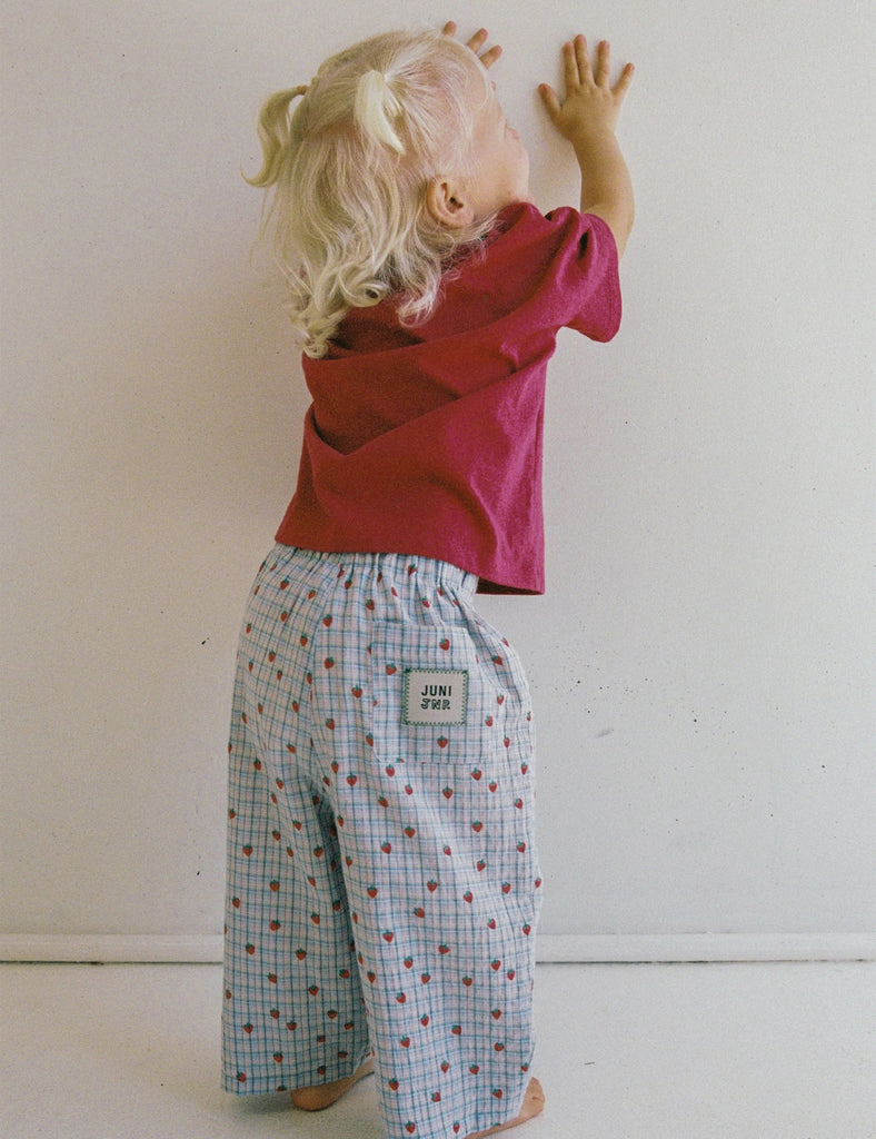 Image of Lenny Pants in Strawberry Check.