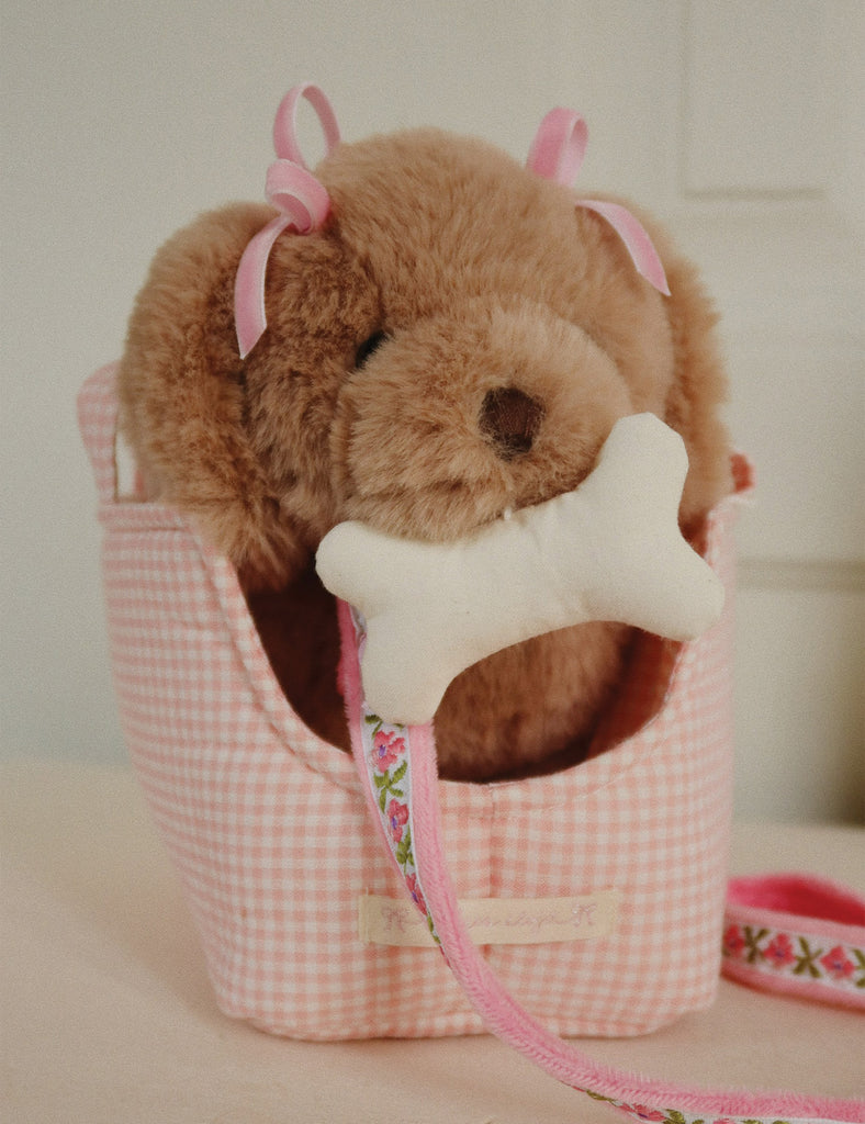 Brown dog with a pink checkered bag and bone toy on a light background