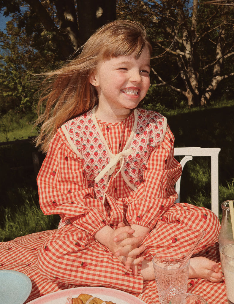 image of molly blouse in berry gingham