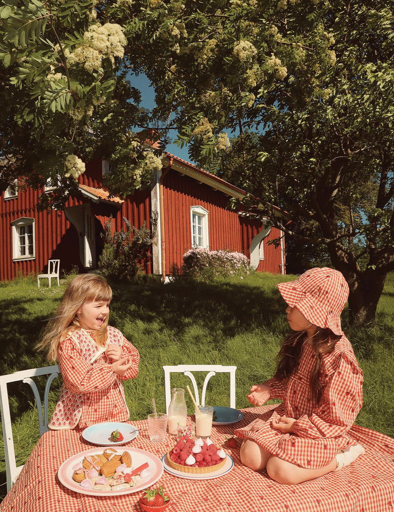 IMAGE OF MOLLY DRESS IN BERRY GINGHAM