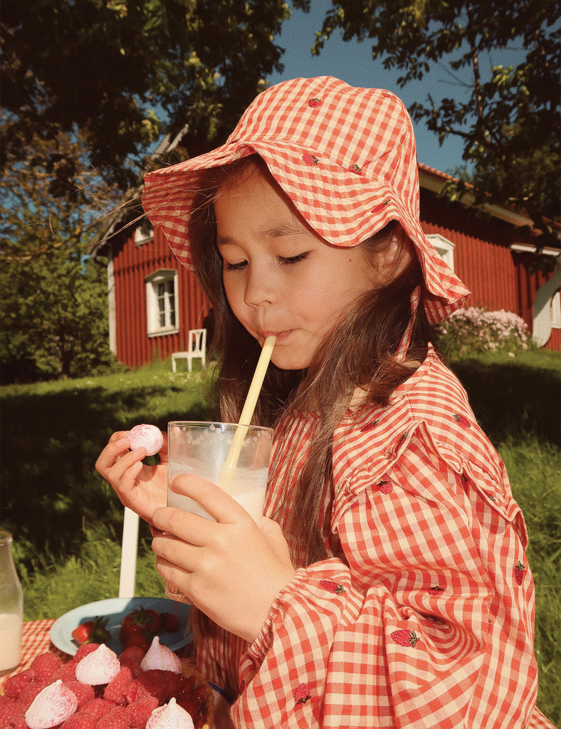 IMAGE OF MOLLY DRESS IN BERRY GINGHAM