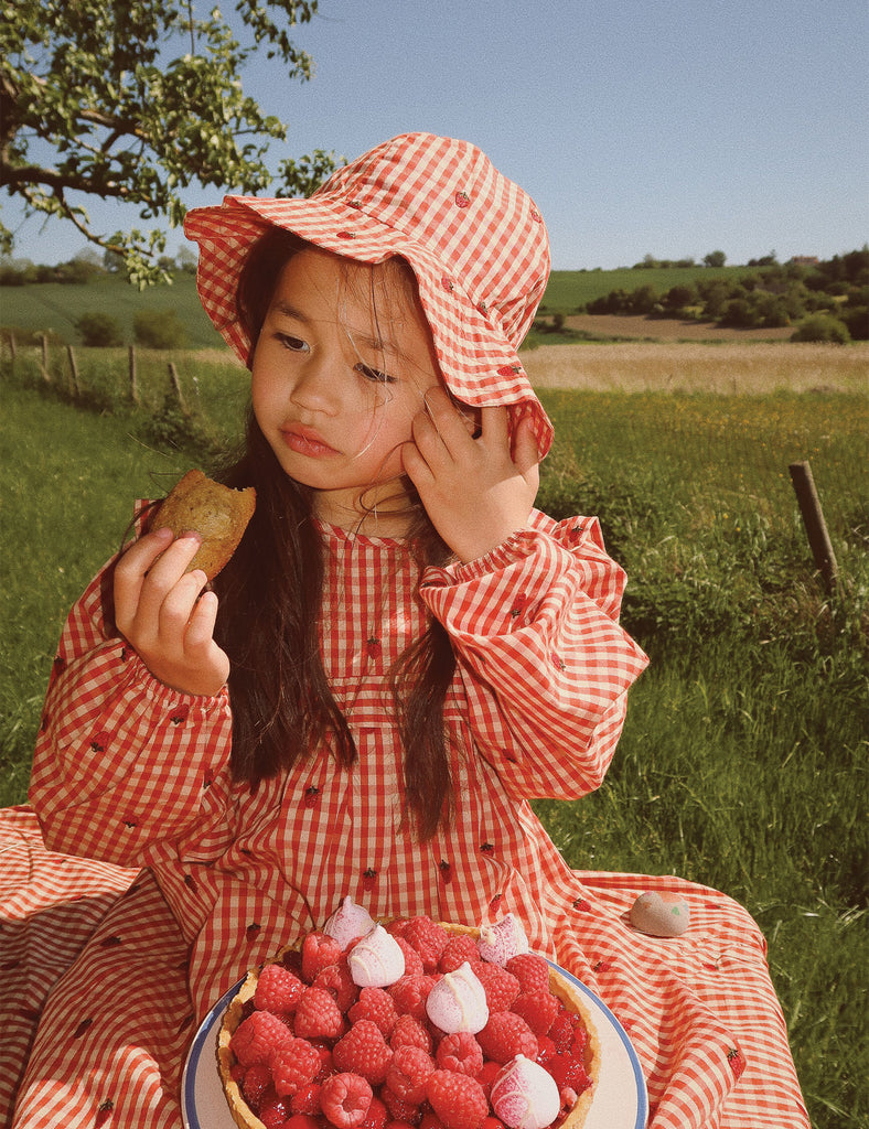 IMAGE OF MOLLY DRESS IN BERRY GINGHAM