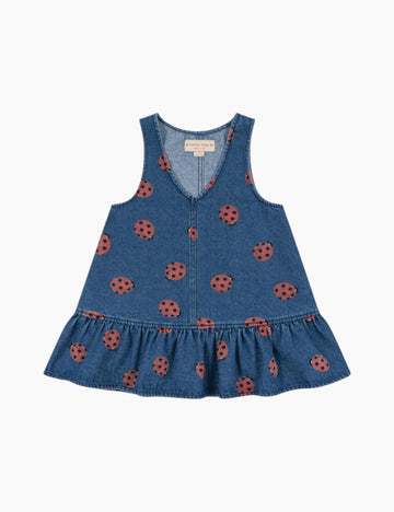 Image of Magot Dress in Ladybug.