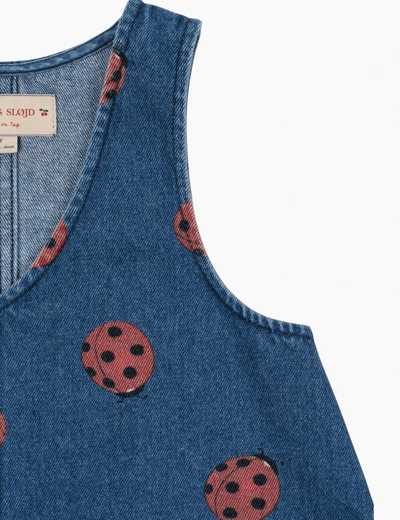 Image of Magot Dress in Ladybug.