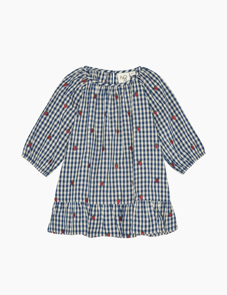 Blue checkered dress with red strawberry accents on a white background