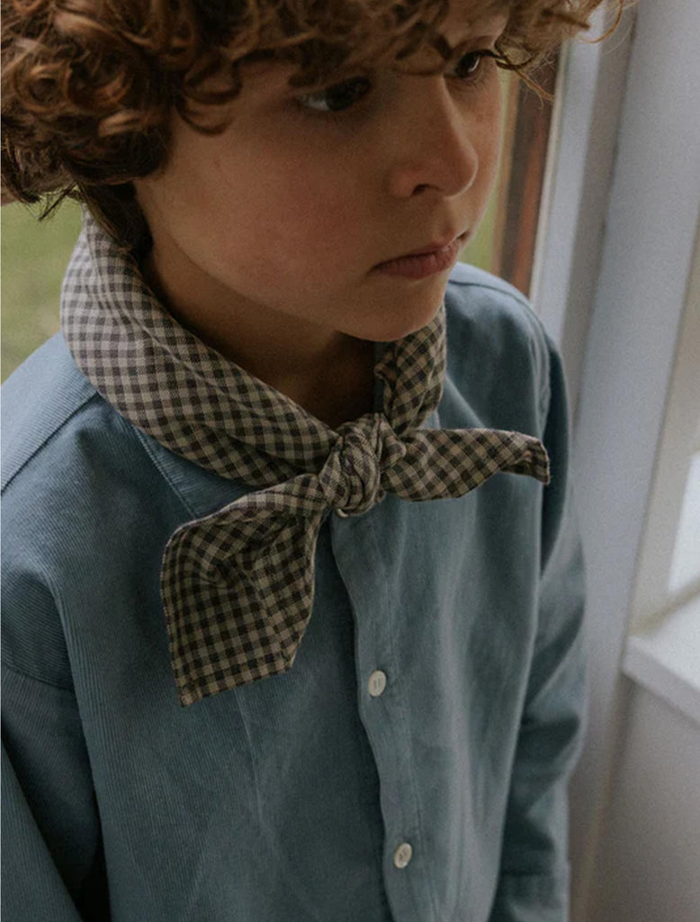 Child wearing a blue shirt and checkered scarf indoors