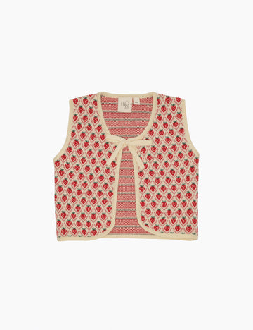 image of zuri knit vest